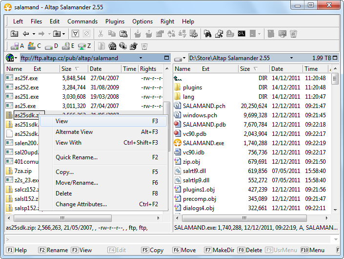 Opening file viewer on FTP server